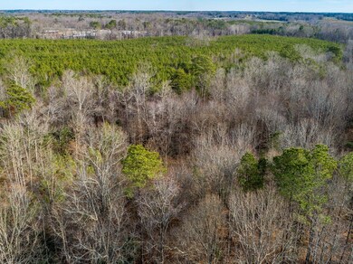 3053 Plank Rd, South Hill, VA 23970 - photo 6