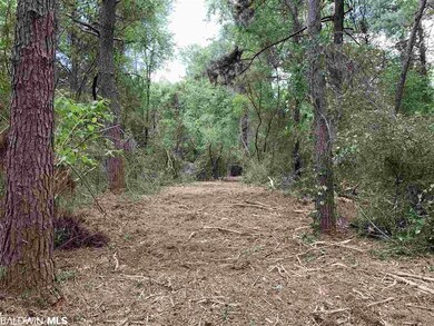 1 Sherwood Highl Rd, Fairhope, AL 36532 - photo 5