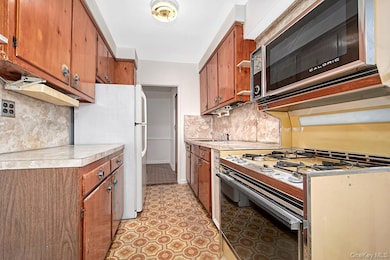 Linden Hill unit 6H, Flushing, NY 11354 - photo 5