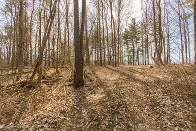 Onondaga_Rd_VACANT_BROCK-6
