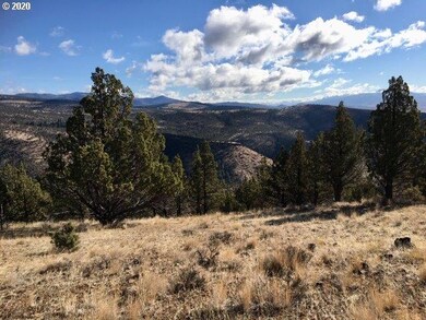 0 Shop Gulch unit 20573615, Mount Vernon, OR 97865 - photo 3