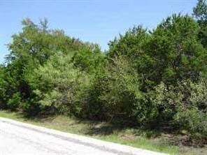 18075 Forrest Dr, Whitney, TX 76692 - photo 2