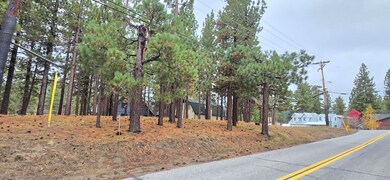 39731 Lakeview Dr, Big Bear Lake, CA 92315 - photo 7