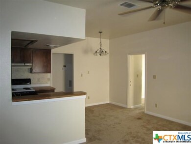 506 W San Antonio St unit 206, San Marcos, TX 78666 - photo 4