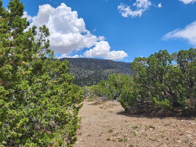 4 Monte Vista Ct, Placitas, NM 87043 - photo 7