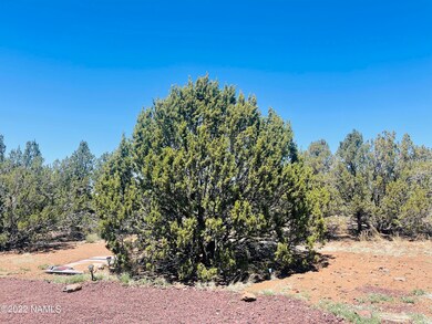 1156 E Hoctor Rd Photo 7