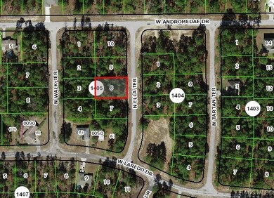 10950 N Ella Terrace, Citrus Springs, FL 34433 - photo 2