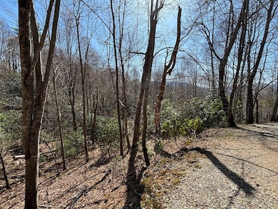 TBD Laurel Ln, Nantahala, NC 28781 - photo 7