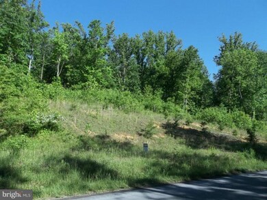 0 Buck Mountain Rd unit 1000074867, Bentonville, VA 22610 - photo 2