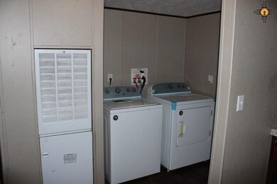 4208 Willow St, Carlsbad, NM 88220 - photo 6