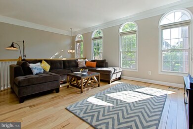 4638 Knight Place, Alexandria, VA 22311 - photo 4