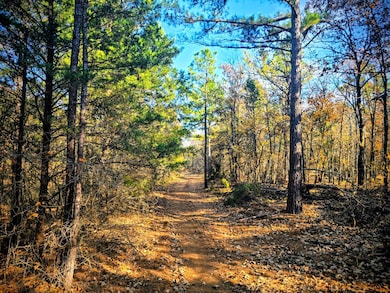 60 SE 136th Rd, Bengal, OK 74563 - photo 5