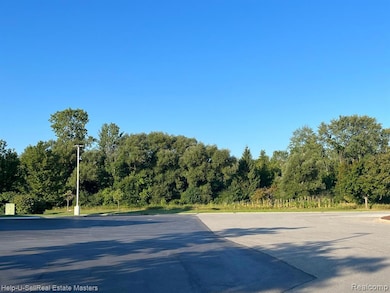 0000 Willow Ln, Fort Gratiot Township, MI 48059 - photo 5