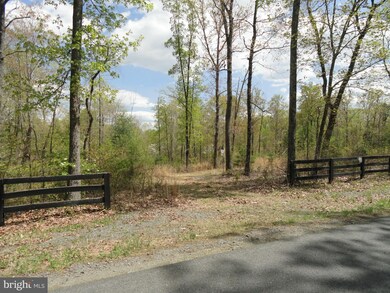 0 Meander Run Rd unit 1000402039, Madison, VA 22727 - photo 3