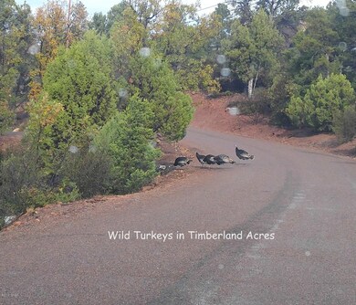 985 Navajo Trail, Show Low, AZ 85901 - photo 3