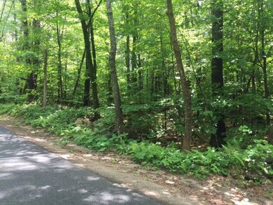 0 Doles Ridge Rd, Limerick, ME 04048 - photo 3