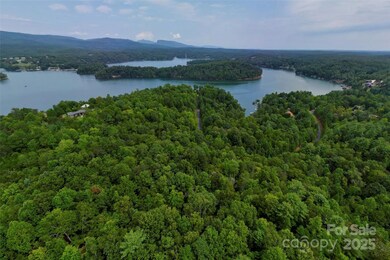 377 Harborside Dr unit 245, Nebo, NC 28761 - photo 4