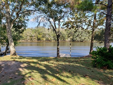 2907 County Road 604, Brazoria, TX 77422 - photo 6