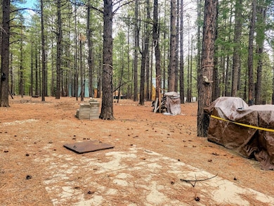Firepit