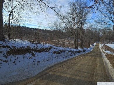 1 Thomas Rd, Old Chatham, NY 12136 - photo 5