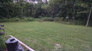 luce back yard