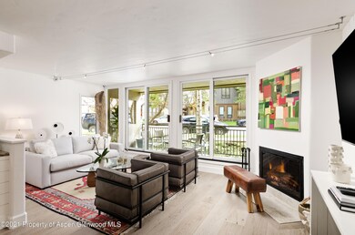 800 E Hopkins Ave unit A4, Aspen, CO 81611 - photo 6