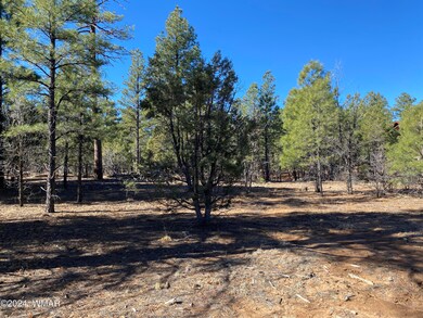 1680 S Iris Ln, Show Low, AZ 85901 - photo 4