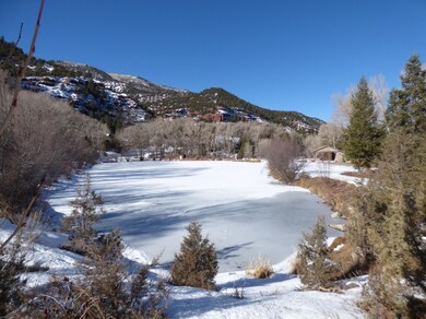 Common Area Pond