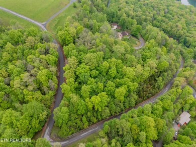 DJI_20250424092524_0390_D-HDR