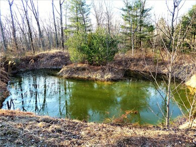 8104 Skeet Club Rd, Slatington, PA 18080 - photo 3