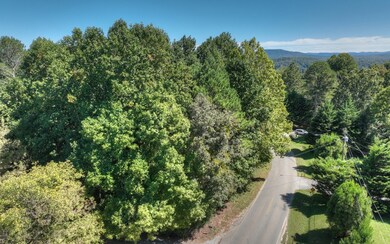 13.32 Old Tails Creek Rd, Ellijay, GA 30540 - photo 4