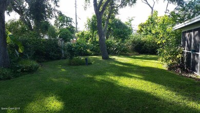 Back yard