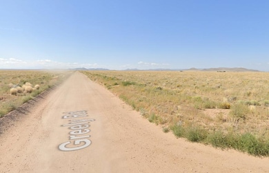 0 Denver Rd unit 25572940, Blanca, CO 81123 - photo 2