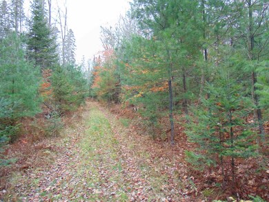 000 Old County Rd, Waterford, VT 05848 - photo 4