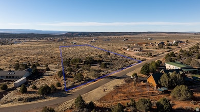 Birds eye view of property with a mountain view and a rural view
