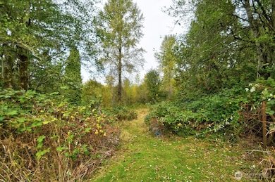 13920 Littlerock Rd SW, Rochester, WA 98579 - photo 7