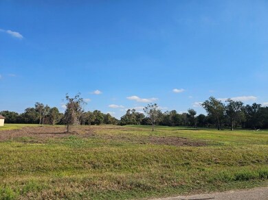 16411 Wrangler Rd, Rosharon, TX 77583 - photo 5