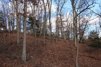 0 Supinlick Ridge Rd unit LotWP001, Mount Jackson, VA 22842 - photo 6