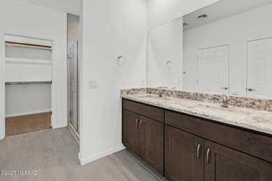 Owner's Bath