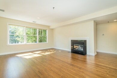 101 Franklin St unit 1, Brookline, MA 02445 - photo 3