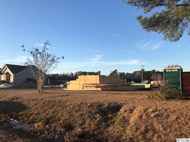 100 Hampton Ridge Rd unit Lot 1, Conway, SC 29527 - photo 5