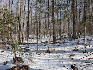 Snowy yard featuring view of wooded area