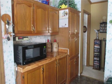 Loads of kitchen storage