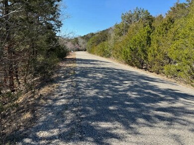 15 Mohawk Ln unit 12, Holiday Island, AR 72631 - photo 6