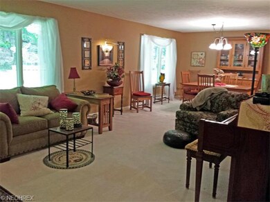 Living room / dining room