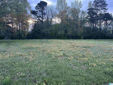 0 Brookside Ln unit 1 21414739, Oxford, AL 36203 - photo 3