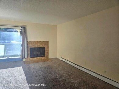 1527 Blake Ave unit 211, Glenwood Springs, CO 81601 - photo 3