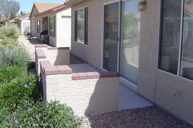 Back Patio