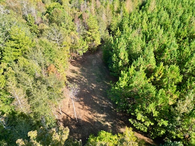 0 Gardner Bassett Rd, Troy, AL 36081 - photo 4