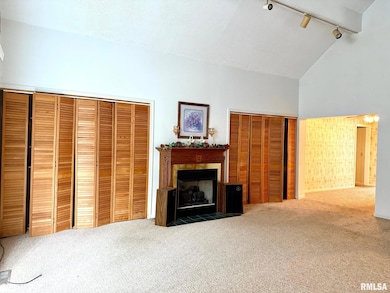 18 Chick St, Metropolis, IL 62960 - photo 7